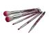 Figure 5pc cosmetic brush  beauty makeup tool brush set super soft brush