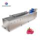 SS Fruit Bubble Washing Machine Commercial Vegetable Cleaning Equipment