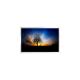 LS012B7DH02 1.2 inch 240*240 LCD Screen Panel for Round Display