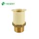 PVC Glue Connection CPVC ASTM 2846 Plastic Fitting with Copper Insert Full Size
