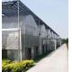 Juxiang Multi-Span Humidity Control Greenhouse for Peppers Film Greenhouse Department