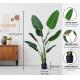 160cm Artificial Office Plant Indoor Traveler'S Palm Fake Potted Trees
