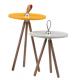 Modern Design Colorful Round Wooden Legs Side Table Set