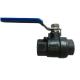 Support After-sales Service Plastic Two Piece Ball Valve Threaded with Steel Handle