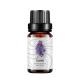 Diffuser OEM Essential Oil 50ml MSDS 100% Pure Clove Essential Oil Aromatherapy
