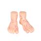 20CM Chinese Medicine Foot Massage Model PVC Material 13/17/19cm