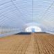 Polytunnel Plastic Tunnel Single Span Agricultural Greenhouse for Customized Request