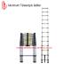 Telescopic Aluminum Straight Ladder 30cm Step Distance En131 Certificated