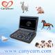 3D/4D vet(pig) pregancy ultrasound scanner/device