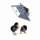THD2608 Brooder Gas Heater Energy Saving Baby Chicks Poultry Heating System