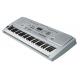 61 KEYS Standard Electronic keyboard Piano touch response keyboard with MIDI out ARK-2173