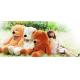 Popular and cute large plush toy teddy bear for 160cm