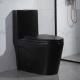 Floor Mounted Commode One Piece Bathroom Toilet Ceramic Matte Black