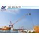 Luffing Jib Tower crane D260-6029--12Ton Construction Crane Made in China