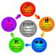 Business Application / Financial ERP Software , ERP Cloud Computing Softwares