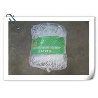 Plastic Climbing Plant Support Net  Green  White Cucumber Support Net