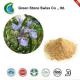 80 Mesh 10/1 Salvia Officinalis Extract Powder
