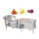 carrot mango Blueberry washing machine 100-500kg/h industrial apple orange  cleaning machine