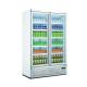 R134A Cold Drink Coolers 2 Glass Doors Refrigerator