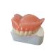 Removable Orthodontic FDA 3D Printed Tooth Crown Polishing Material