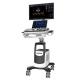 CE Approved Chison Ultrasound Machine CBit 10 With 23.8 Inch LED Monitor