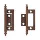 4 Inch 2.0mm Plastic Surface Iron Fan Shaped Door Hinges