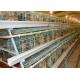 4 Tiers 4 Cells 128 Chickens Capacity Layer Poultry Cage In Farm