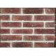 NEW Style Wall Decaration Exterior Thin Facing Brick