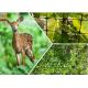1m Height Black Plastic Deer Fence Netting To Protect Plants Hole Size 20mm