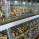 4 Tier Battery Broiler Chicken Cage A Type In Philippines Automatic
