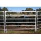 Cattle Yard For 60 Head,cattle Panels - 6 Bar Cattle Rail 1.8m high