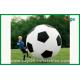 Kids Sports Giant Inflatable Soccer Waterproof Inflatable Toys