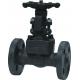 Forged steel flanged RF gate valve A105 N
