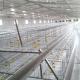 Corrision Resistant Battery Cage For Broilers , Auto Control Hi Tech Chicken Cage
