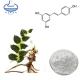 Natural Health Supplements Polygonum Cuspidatum Extract Resveratrol Powder