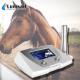 Veterinary Equine Shockwave Machine For Animals Soft Issue / Tendon Injury