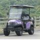 Electric Fuel 4 Wheel Four Person Golf Cart With Rear Seat , Purple Color