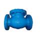 BS 5153 Standard Flanged Swing Check Valve Blue PN16 Cast Iron