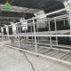 Hot Galvanized Multilevel Greenhouse Racks Double Layer Ebb And Flow Rolling Benches