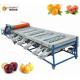 Small Capacity Apple Pear Beverage Processing Plant SS304 Electric Driven
