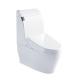 Ceramic white new design S-trap composting toilet