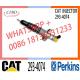 C-A-T For Excavator Injector Assy  293-4074 328-2580 267-9710  20R-8063 10R-7221 236-0957 238-8092 For Engine C9