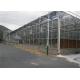 Venlo Type Toughened Glass Greenhouse Hot Galvanized Steel Skeleton Material