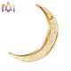Anti Sensitive 304 Stainless Steel Crescent Moon Charm
