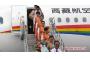 Lift-off for new Tibet carrier