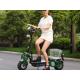 500w Smart Electric Leisure Scooter