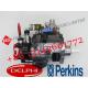 Fuel Injection Common Rail Pump 9323A262G 9323A260G 9323A261G For Delphi Perkins Excavator DP210 Engine
