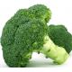 Broccoli Extract, Broccoli Sprout Extract, Sulforaphane 0.5%-98%