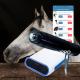 Horse Veterinary Equine Shockwave Machine For Wound Healing