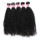 Long Lasting Grade Peruvian Hair Kinky Curly Weave With Tangle Free